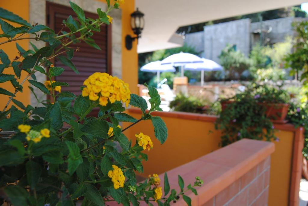 Residence Villa Il Glicine Ταορμίνα Δωμάτιο φωτογραφία